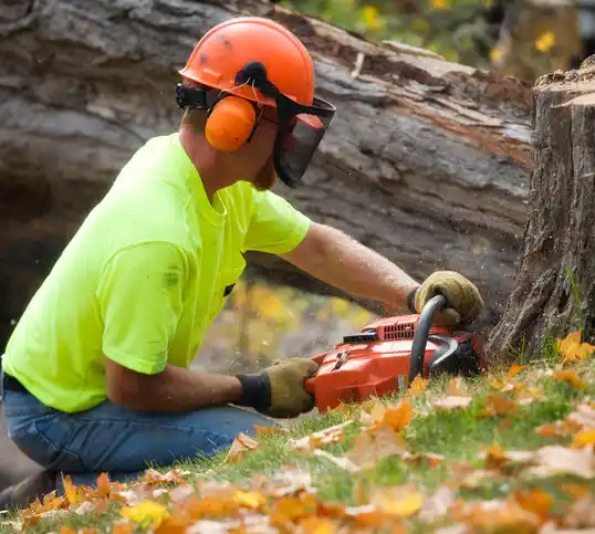 tree services Faison